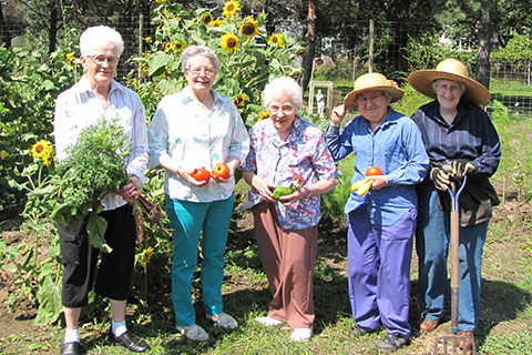 Vision 2017 Tomshack More gardens of religious communities Sisters of St. Francis of Minnesota