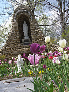 Vision 2017 Tomshack More gardens of religious communities Sisters of Charity of Nazareth