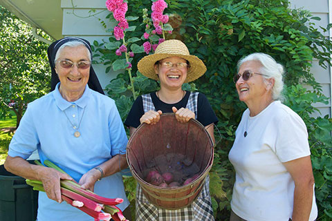 Vision 2017 Tomshack More gardens of religious communities Sisters of the Sorrowful Mother