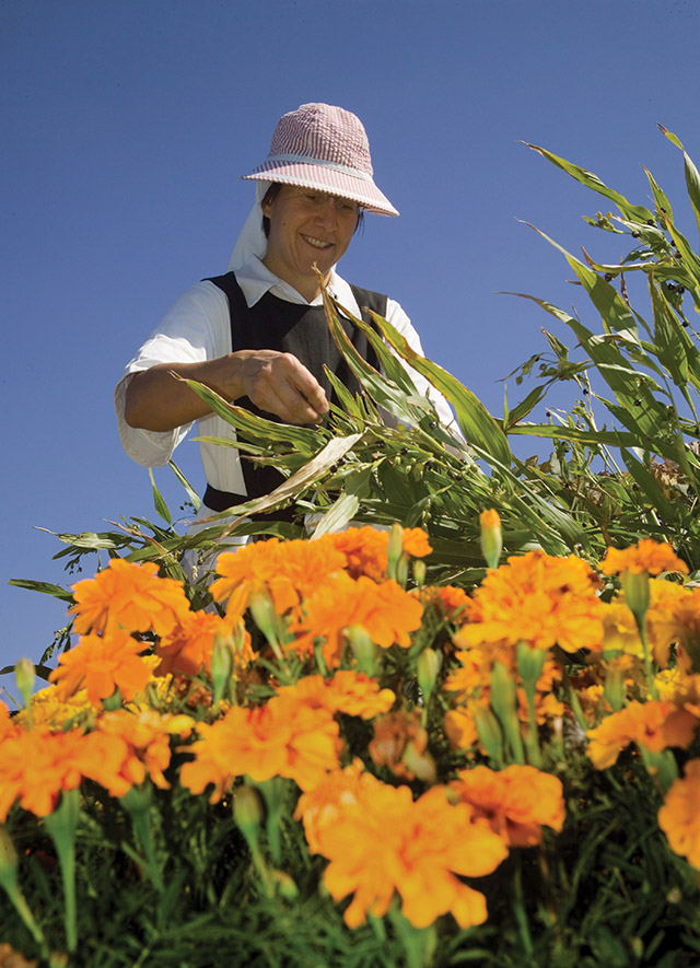 Vision 2021 Schuck Scheiber 3 Living simply, centered on prayer Sister Myra Hill, O.C.S.O. works in the garden.