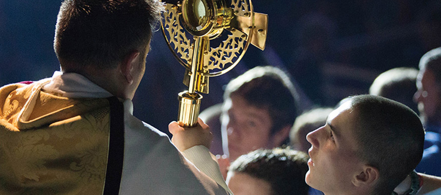 Hundredfold: A Guide to Parish Vocation Ministry